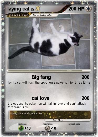 Pokemon laying cat