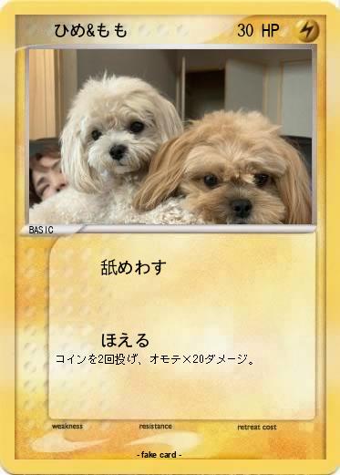 Pokemon 　　ひめ&もも