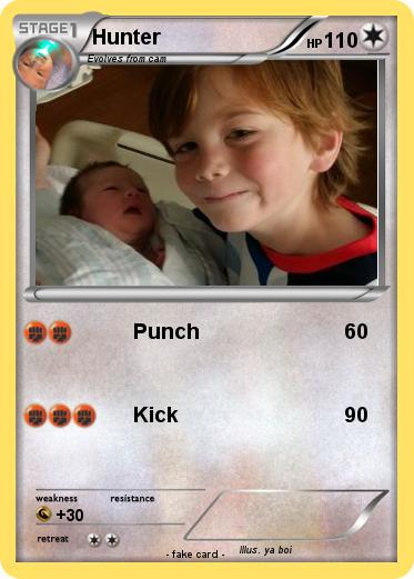 Pokemon Hunter