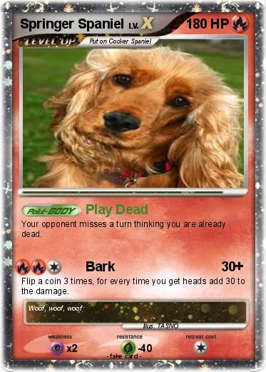 Pokemon Springer Spaniel
