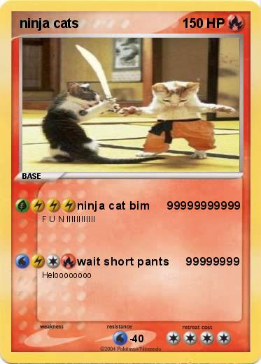 Pokemon ninja cats