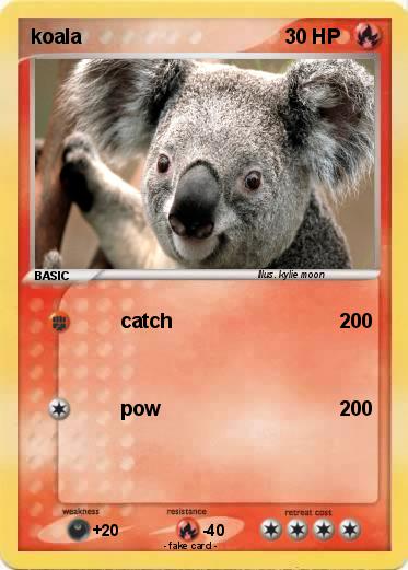 Pokemon koala