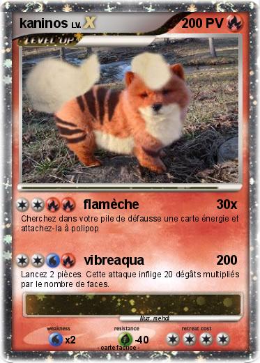 Pokemon kaninos
