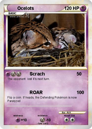 Pokemon Ocelots