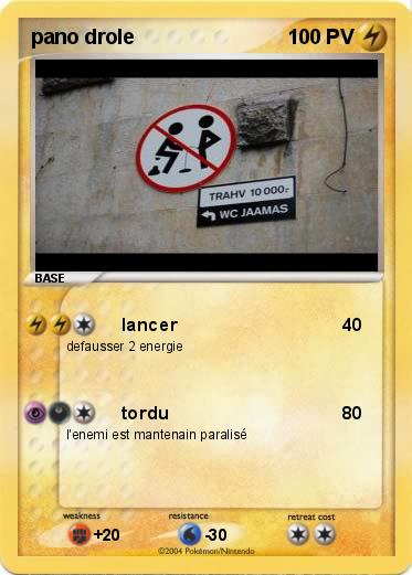 Pokemon pano drole