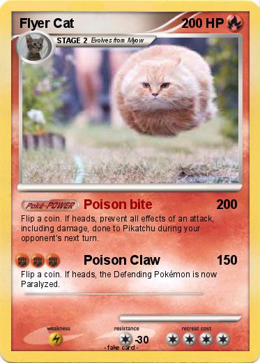 Pokemon Flyer Cat