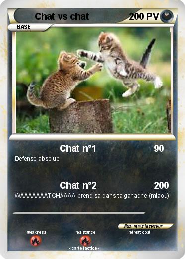 Pokemon Chat vs chat