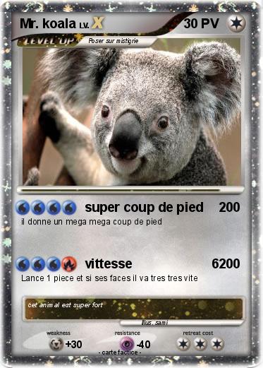 Pokemon Mr. koala