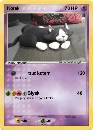 Pokemon Kotek