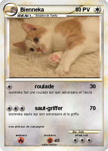 Pokemon Bienneka