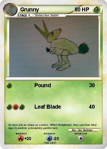 Pokemon Grunny