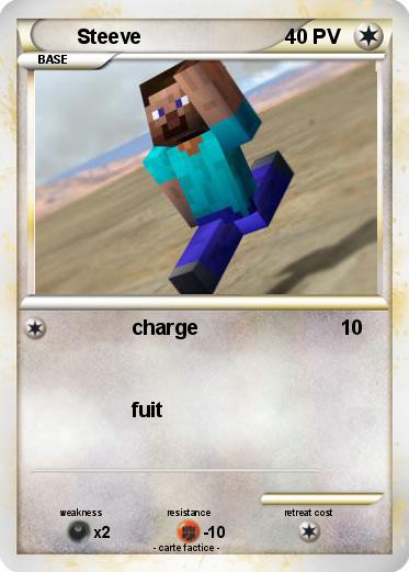 Pokemon Steeve
