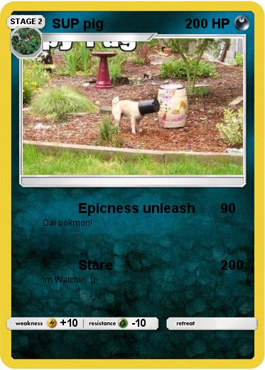 Pokemon SUP pig