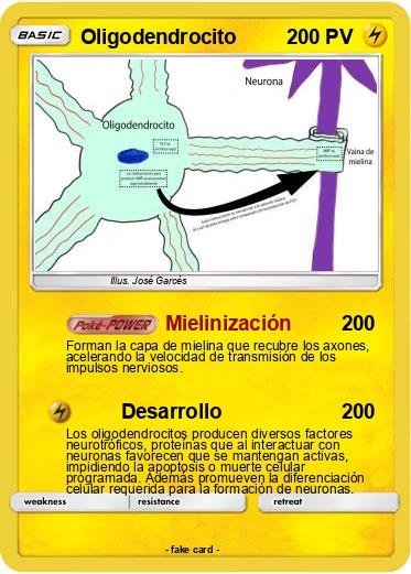 Pokemon Oligodendrocito
