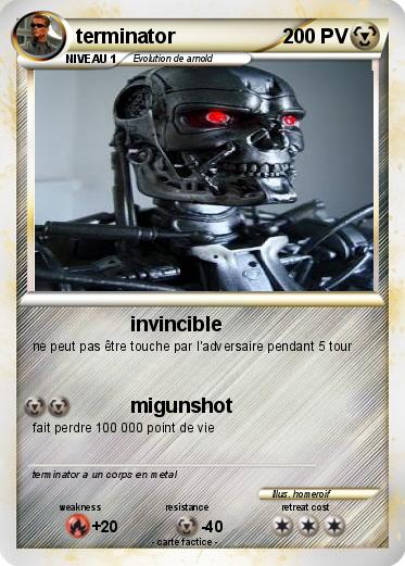 Pokemon terminator