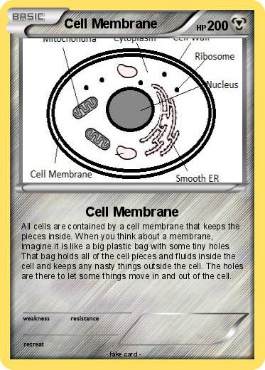 Pokemon Cell Membrane