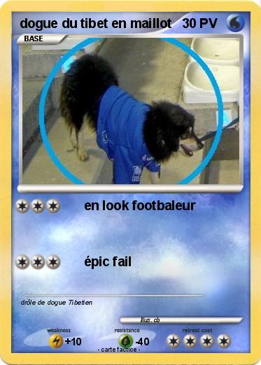 Pokemon dogue du tibet en maillot