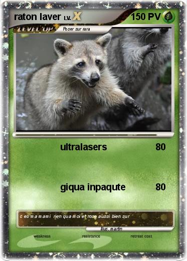 Pokemon raton laver