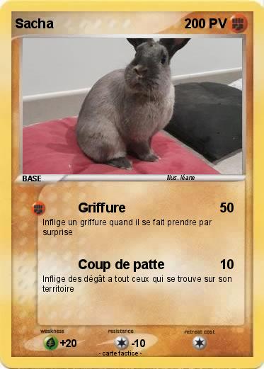 Pokemon Sacha