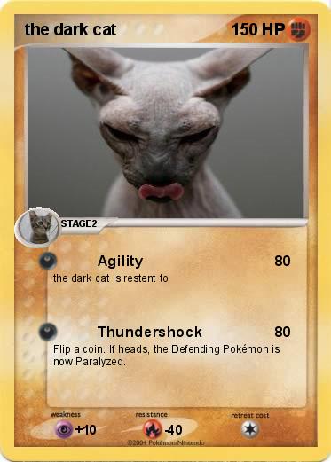 Pokemon the dark cat
