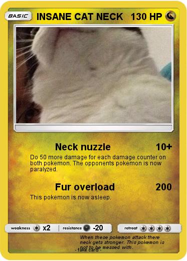 Pokemon INSANE CAT NECK