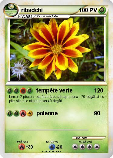 Pokemon ribadchi