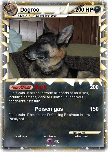 Pokemon Dogroo