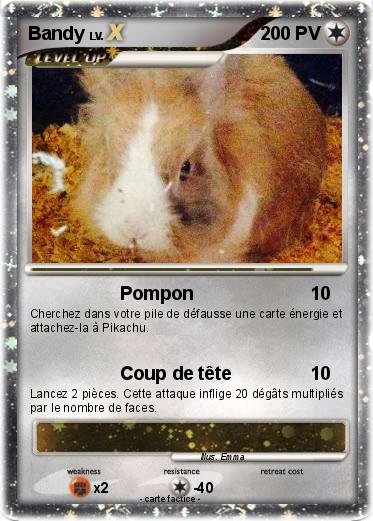 Pokemon Bandy