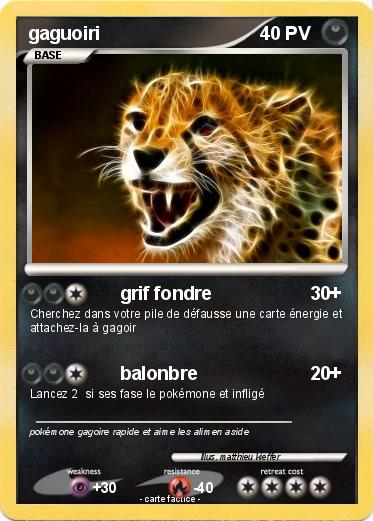 Pokemon gaguoiri