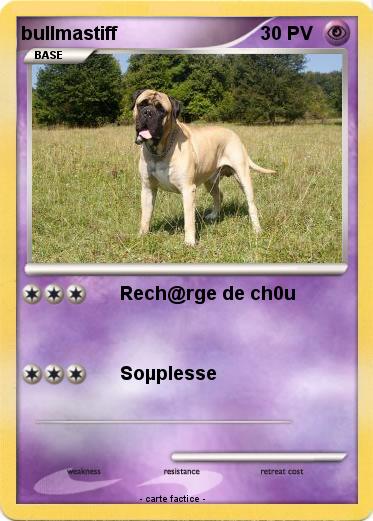 Pokemon bullmastiff