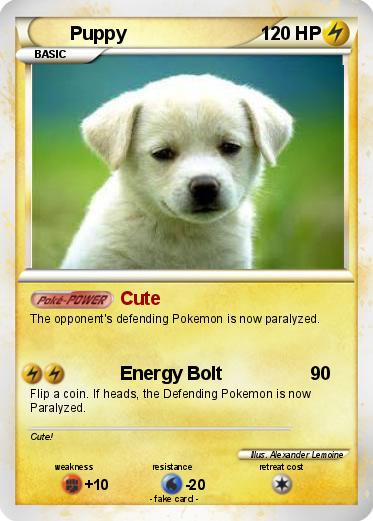 Pokemon Puppy