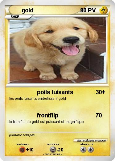 Pokemon gold