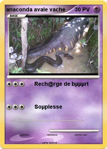 Pokemon anaconda avale vache