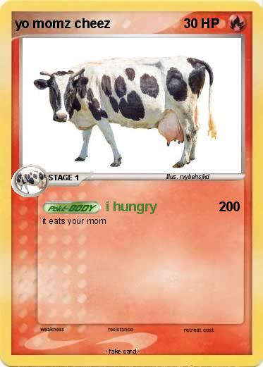 Pokemon yo momz cheez