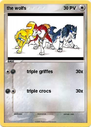 Pokemon the wolfs