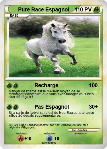Pokemon Pure Race Espagnol