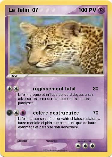 Pokemon Le_felin_07