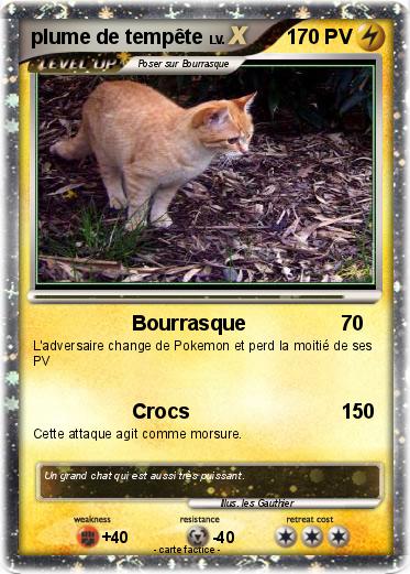 Pokemon plume de tempête