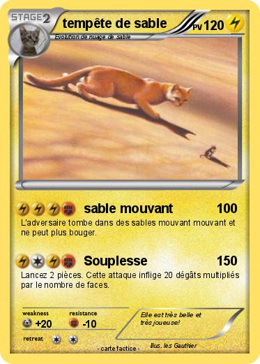 Pokemon tempête de sable