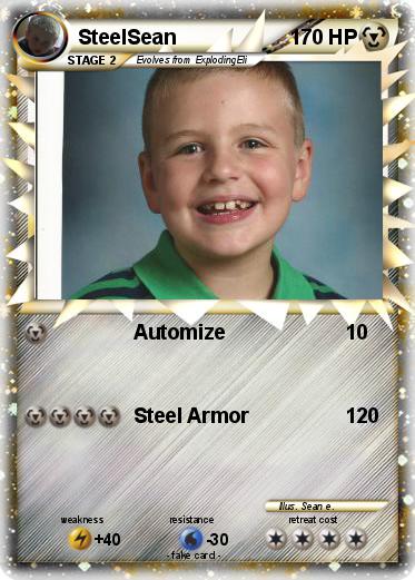 Pokemon SteelSean