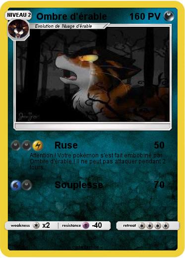 Pokemon Ombre d'érable