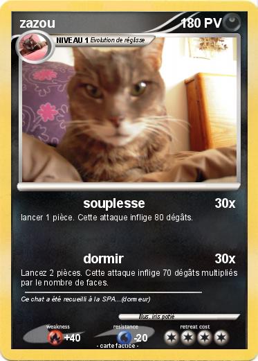 Pokemon zazou