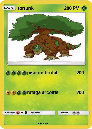 Pokemon tortunk