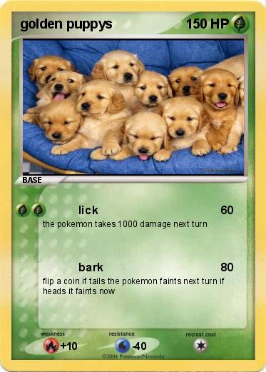 Pokemon golden puppys