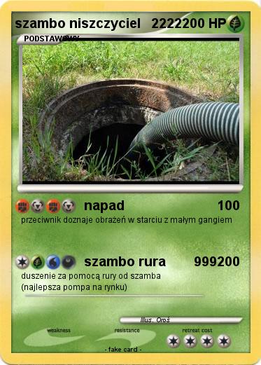 Pokemon szambo niszczyciel   2222