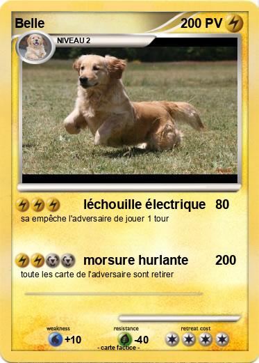 Pokemon Belle