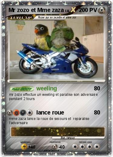 Pokemon Mr zozo et Mme zaza