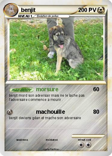 Pokemon benjit