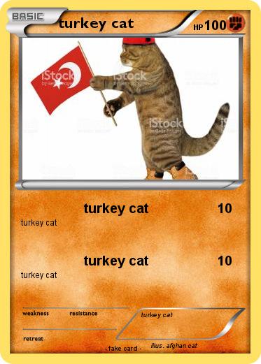 Pokemon turkey cat