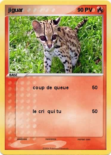 Pokemon jiguar